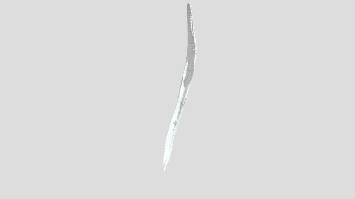 Hatchling Gavialis Angular 3D Model