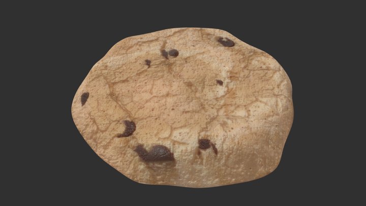 Cookie with Chocolate Chips 3D Model