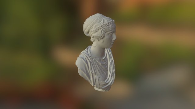 Bust Of Woman 3D Model