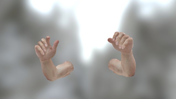 [Animation] First Person Arms, Male 3D Model