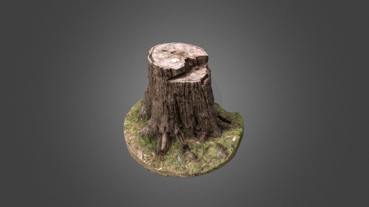 Tree Stump 0001 Clean Lowres UV 3D Model