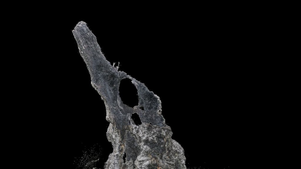 It's A Tree! Point Cloud