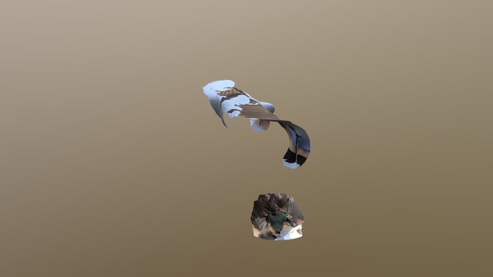 Pablo 3D Model