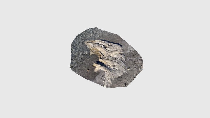 Soft sediments in water 3D Model