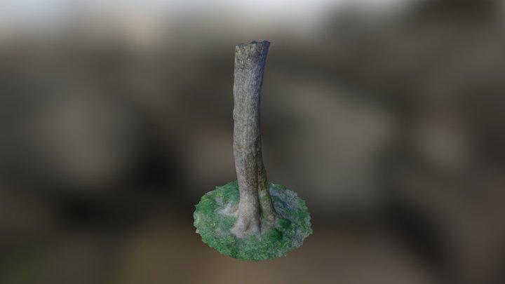 Tree-5 3D Model