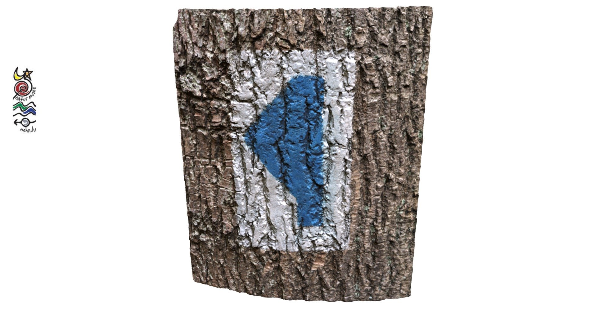 Autopedestre waymarker on tree in Luxembourg