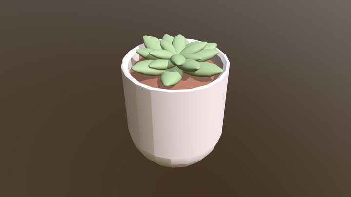 Pot Plant with Succulent 3D Model