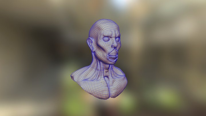 Sculpting and rotopology 3D Model