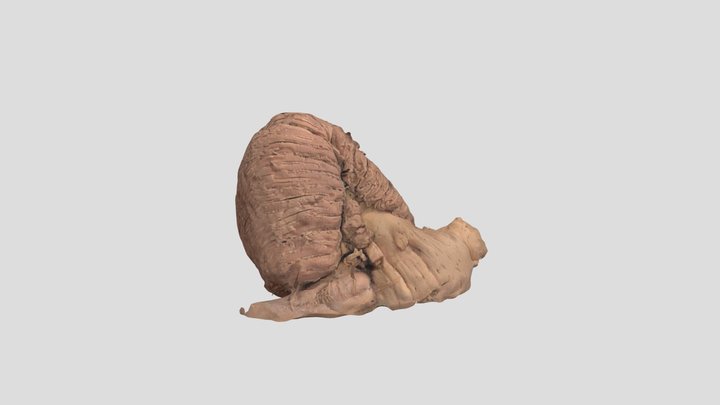 MergeCube1 3D Model