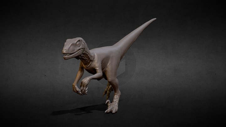 Velociraptor 3D sculpt 3D Model