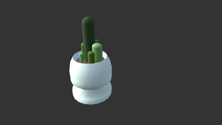 Cactus 3D Model