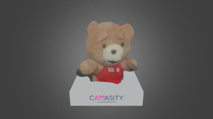 3D Model by Cappasity Easy 3D Scan 3D Model