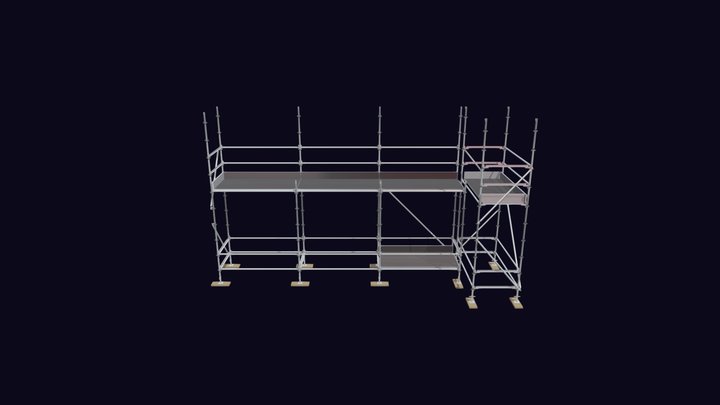 Inscope Scaffold 3D Model