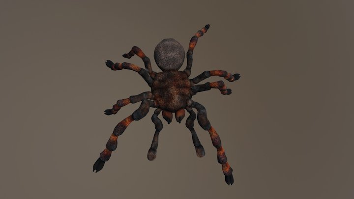 spider2_animation 3D Model