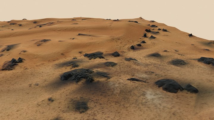 Desert Patch - United Arab Emirates 3D Model
