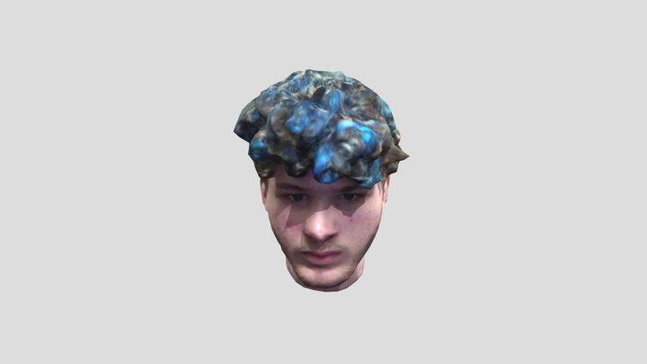 Jmancurly-head 3D Model