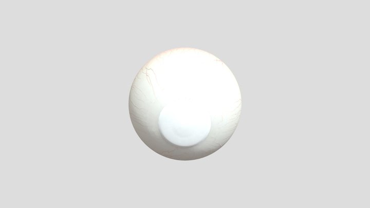 Eyeball 3D Model