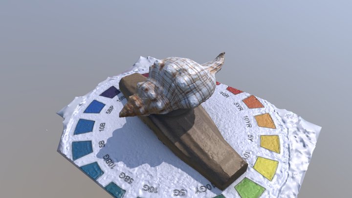 New project 3D Model
