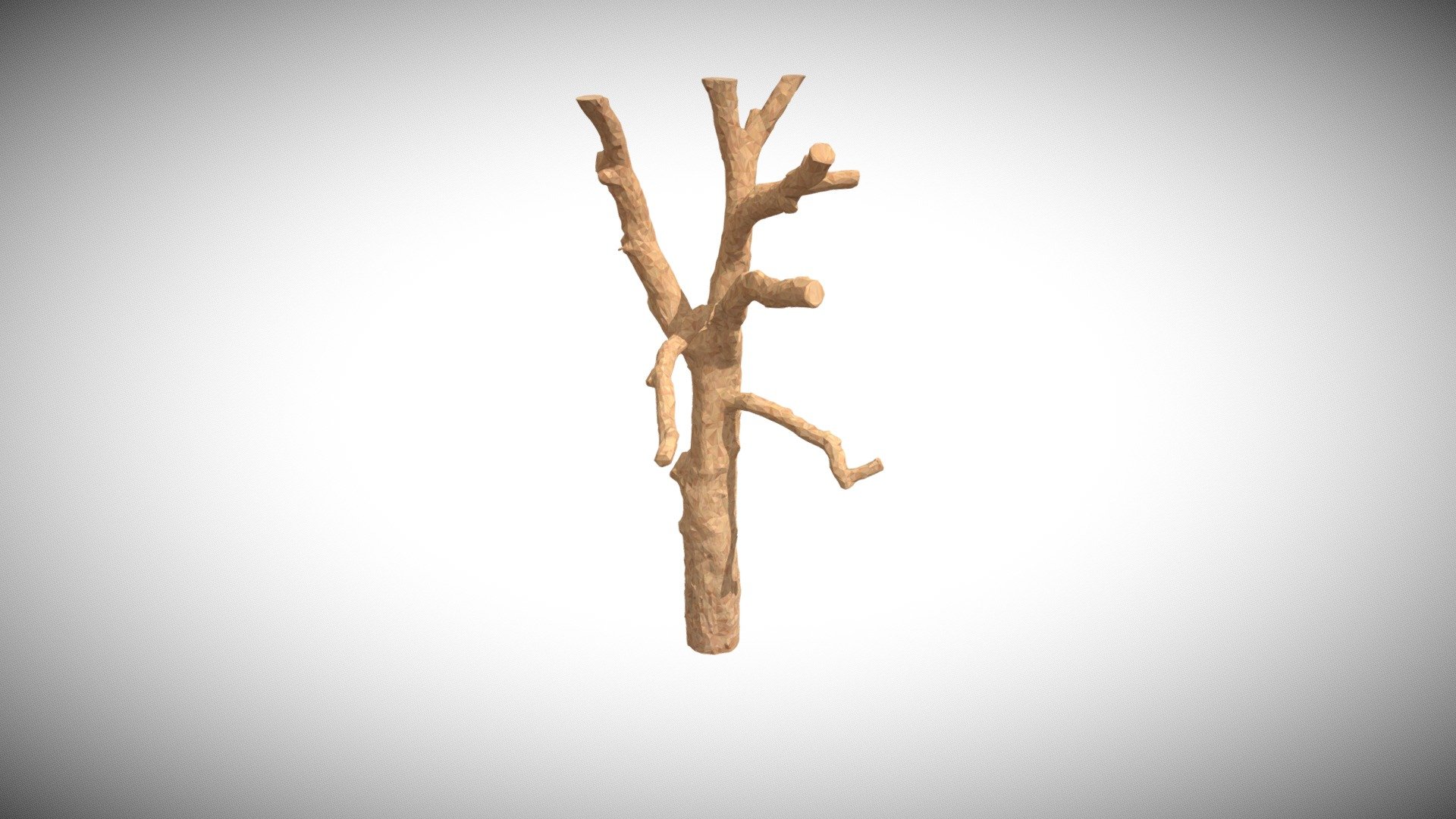 Beauty Tree 5