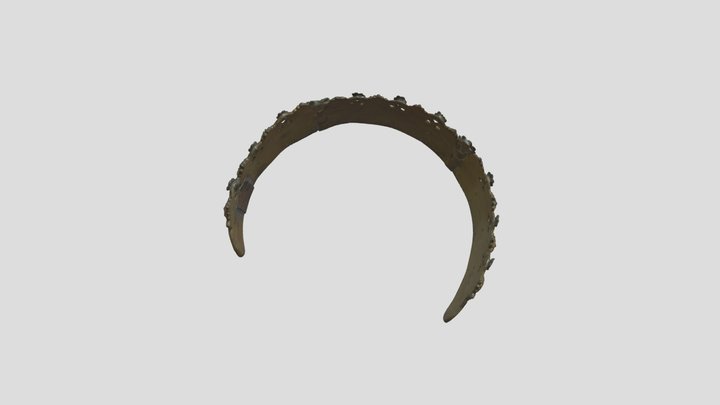 2448 3D Model