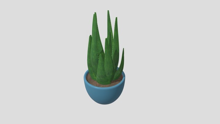 Week 09: Plant 3D Model