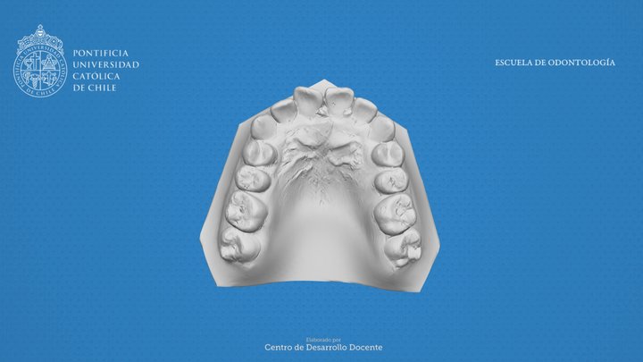 A8-S 3D Model