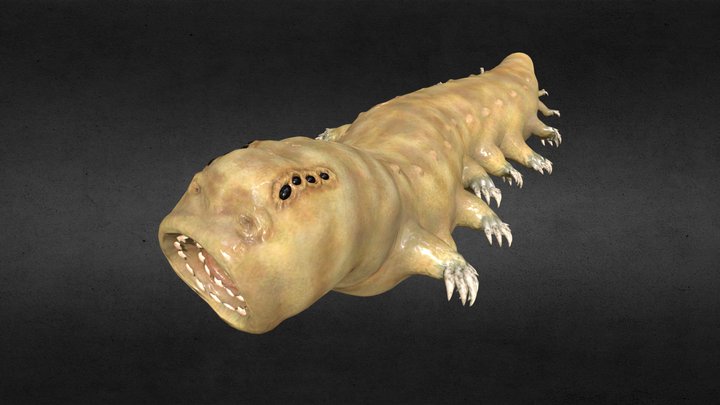 Magrot 3D Model