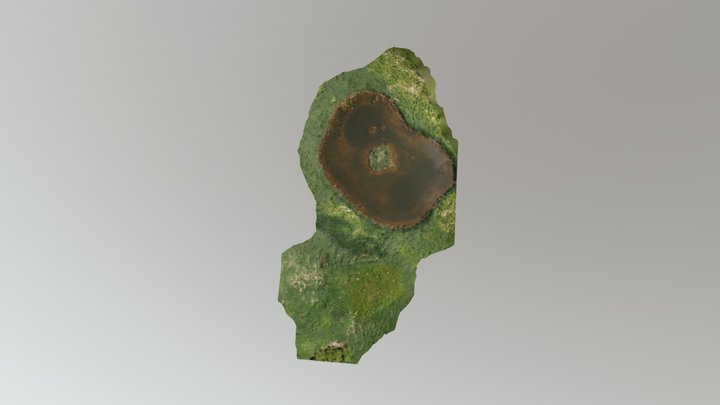 Wetlands Map 3D Model