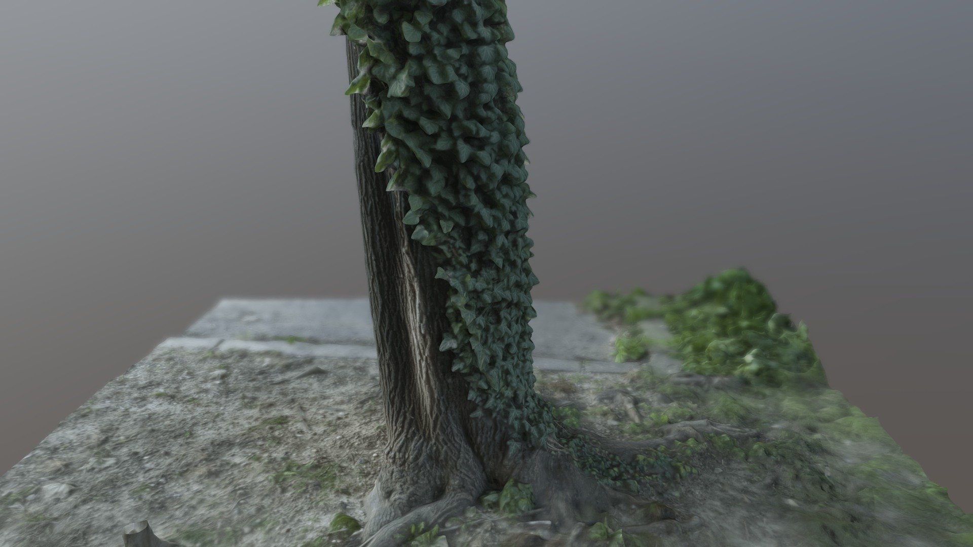 Tree trunk with leaves - Scanned