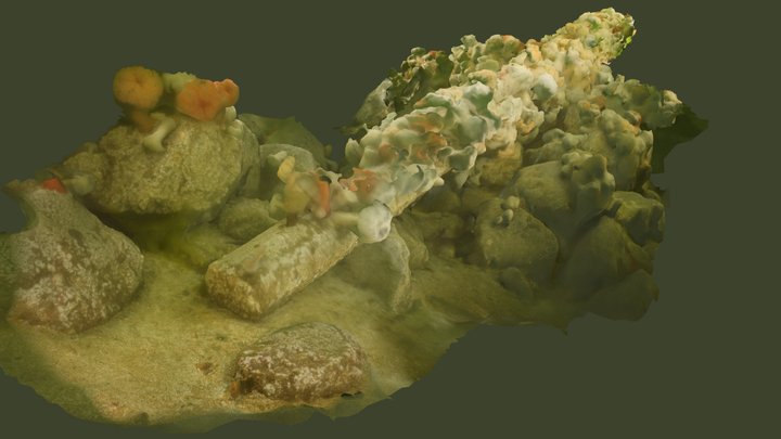 Artificial Reef @ Saltwater State Park, WA 3D Model