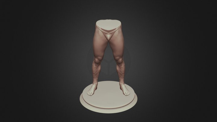 Legs - 3D Model - Anatomy 3D Model