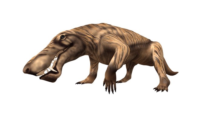 Inostrancevia therapsid 3D Model