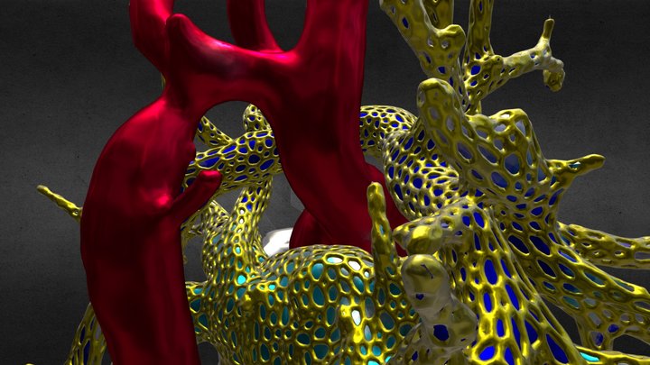 Coa_Ao_des - cIMER_2025 3D Model