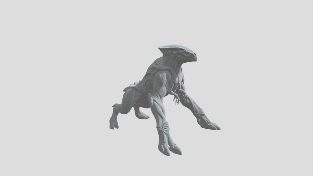 Drukathi Ground Strider