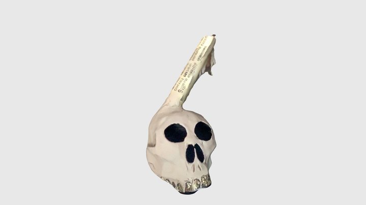 Vanité crâne 3D Model