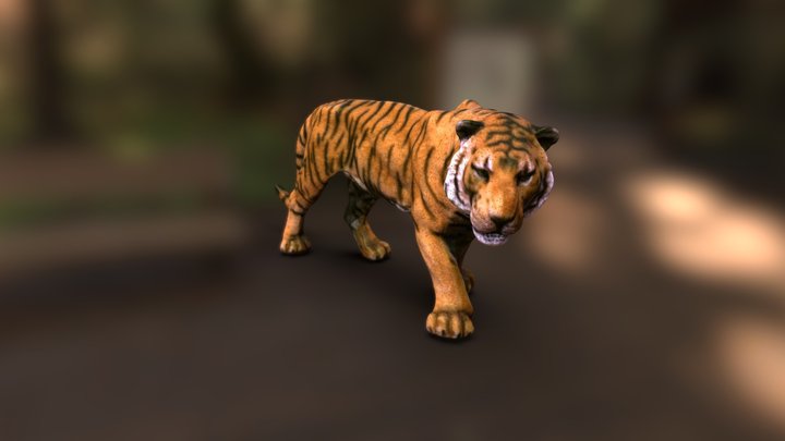 Tiger Texture Test 3D Model