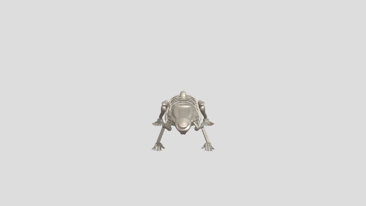 Vertebrados_Anfibios 3D Model