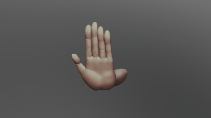 手のひら 3D Model