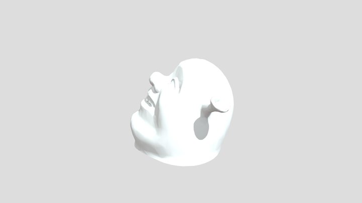 Ebike Accessories - Shrek_ Valve_ Cap