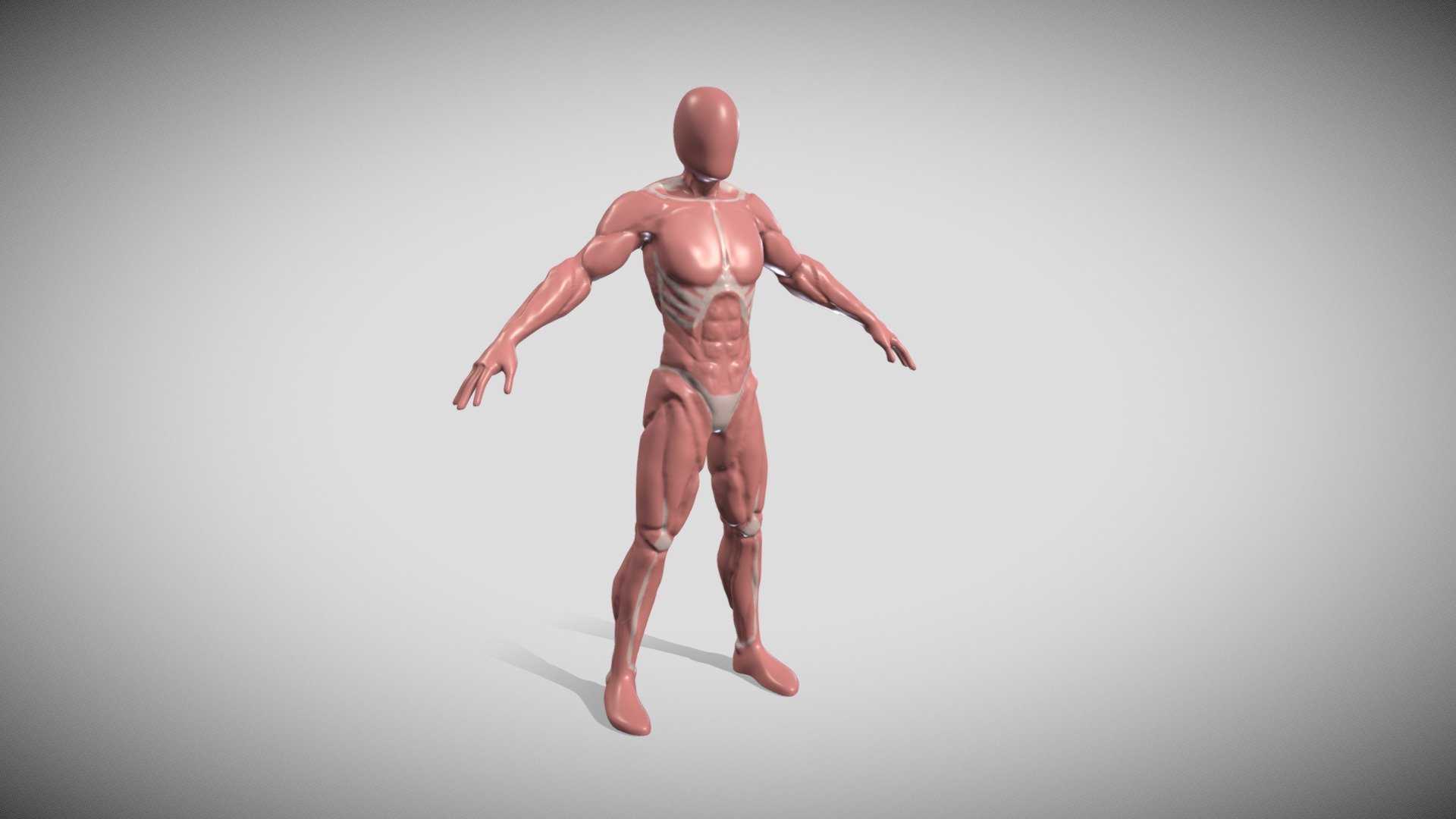 2283 Dubois Yann Anatomy