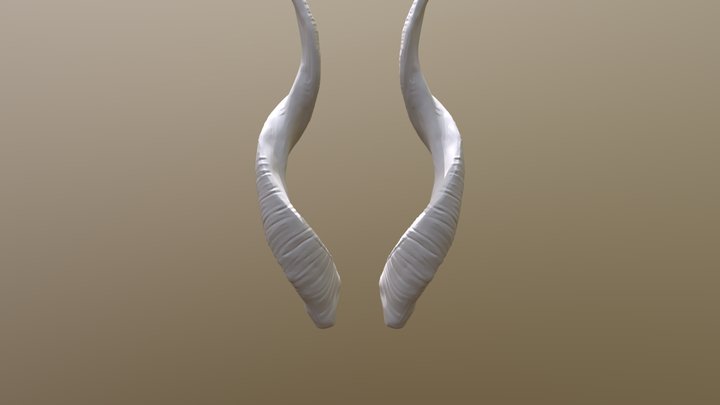 Brodie - Brendan - Dunnyangel Solid - 10-7-2019 3D Model