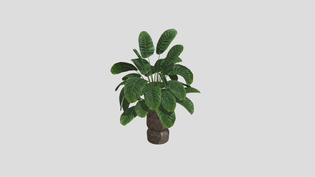 Sj Monstera 02