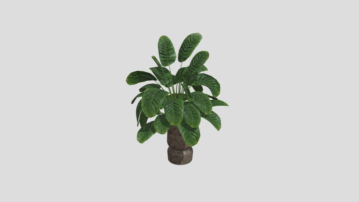 Sj Monstera 02