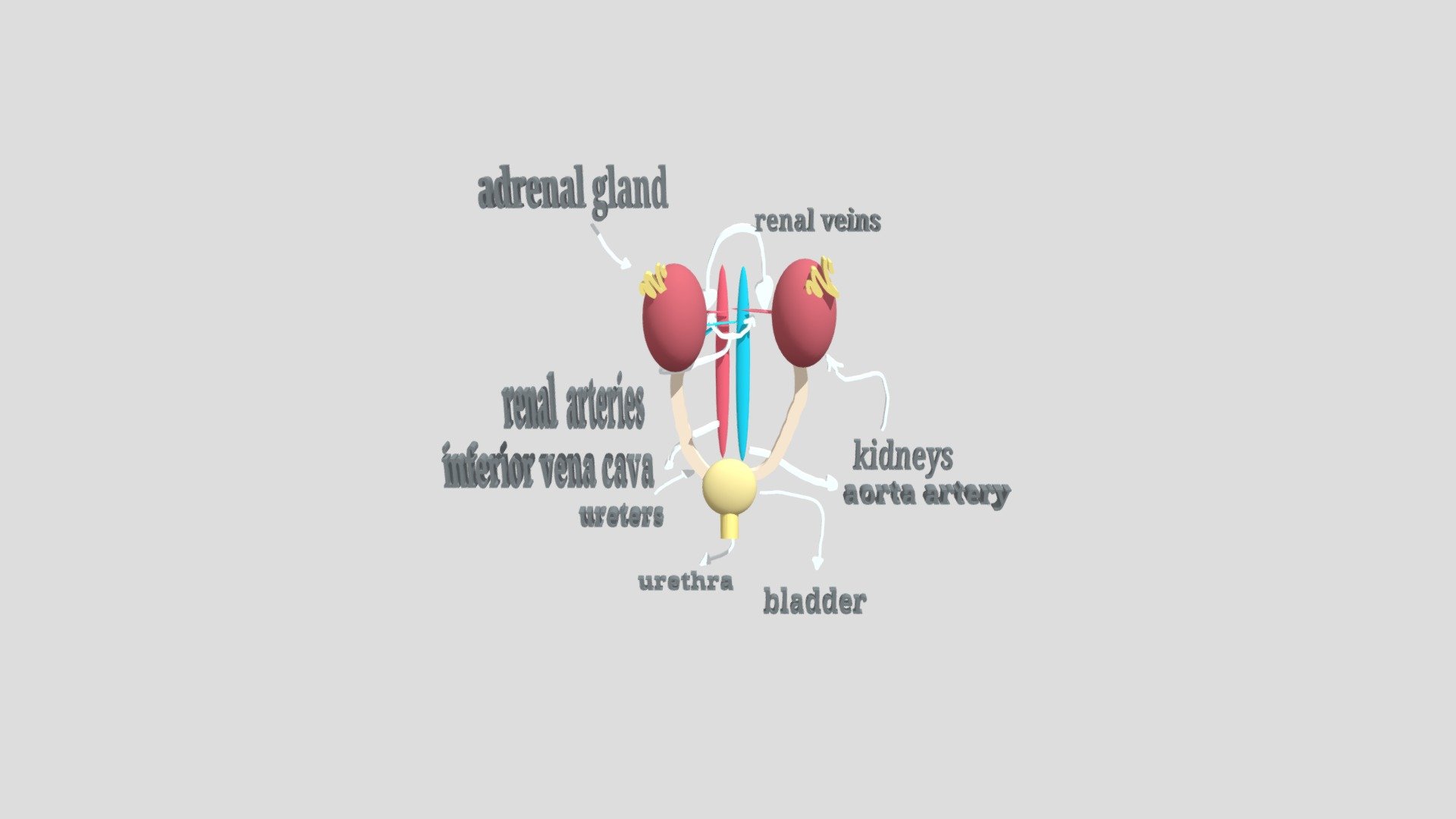 5 trabajo informática/biología