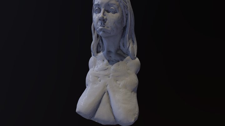 Class Demo 2014 "Hillary" 3D Model