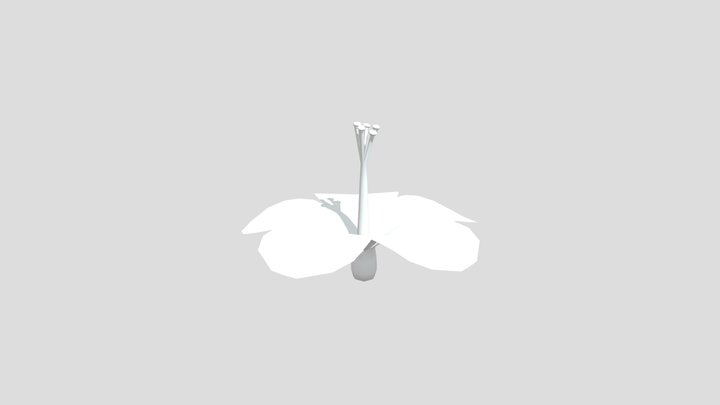 Hibiscus wip 3D Model