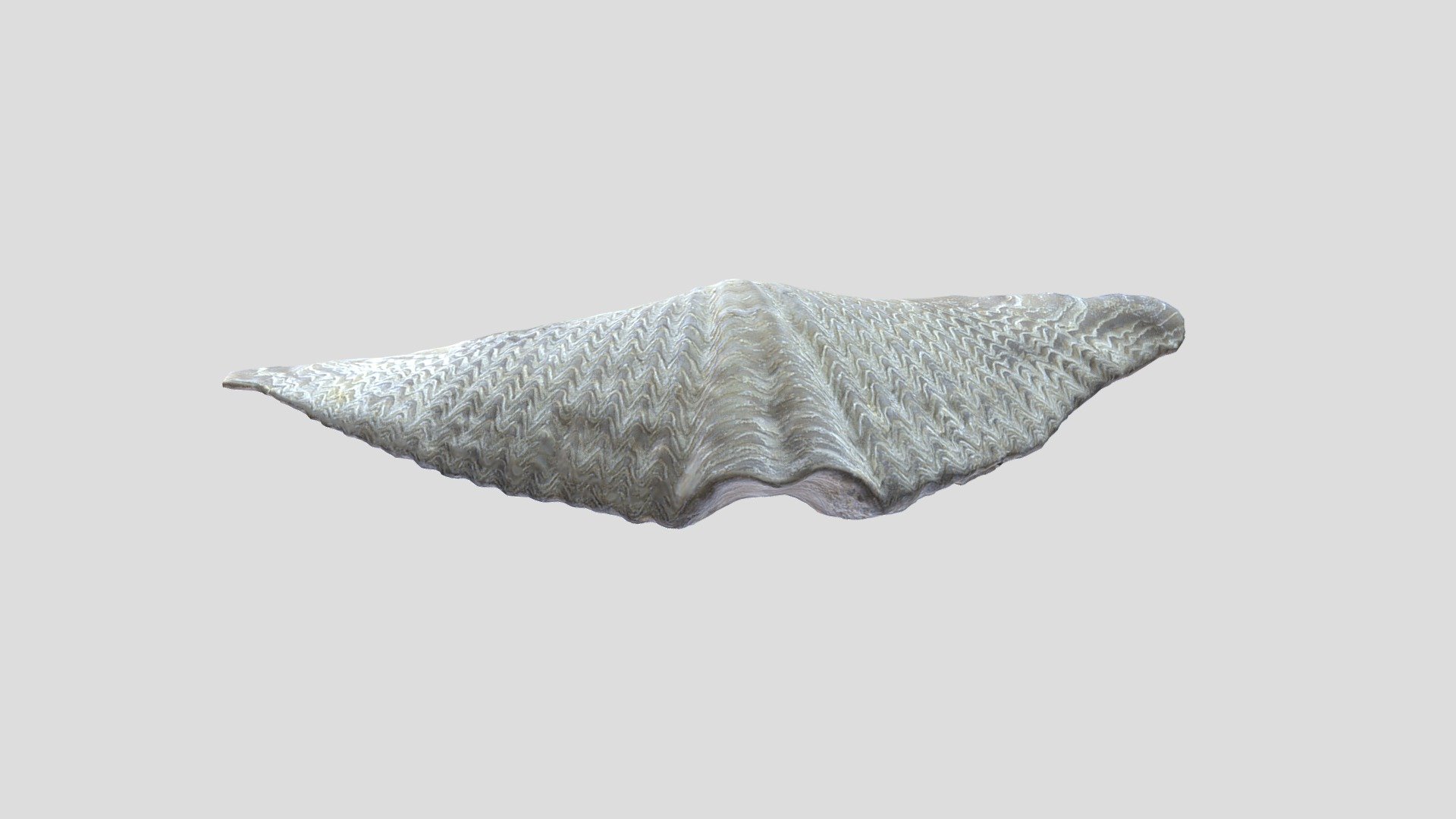 fossil model dw2