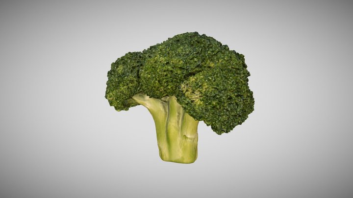 Broccoli Floret 3D Scan Photogrammetry 3D Model
