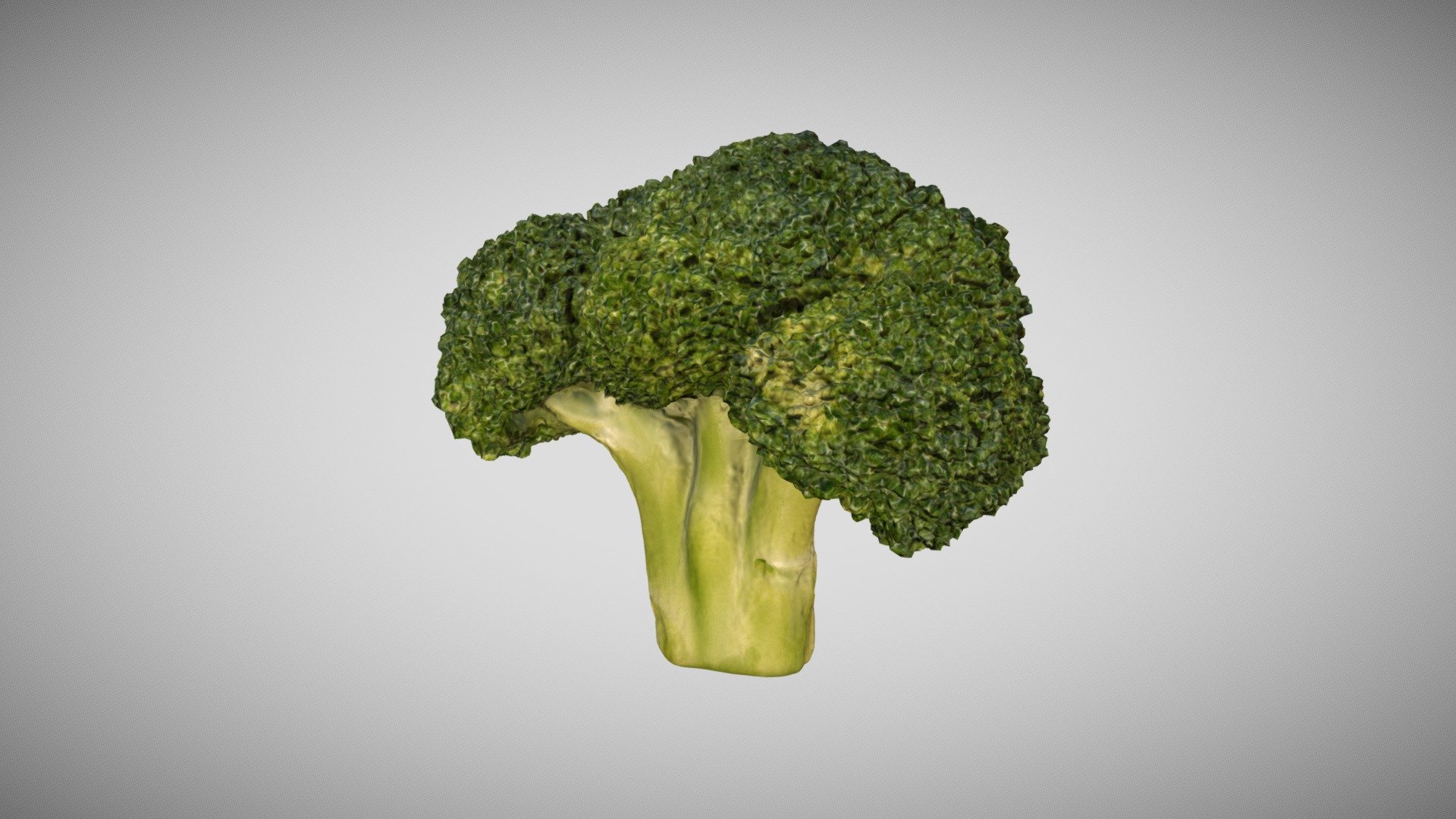 Broccoli Floret 3D Scan Photogrammetry
