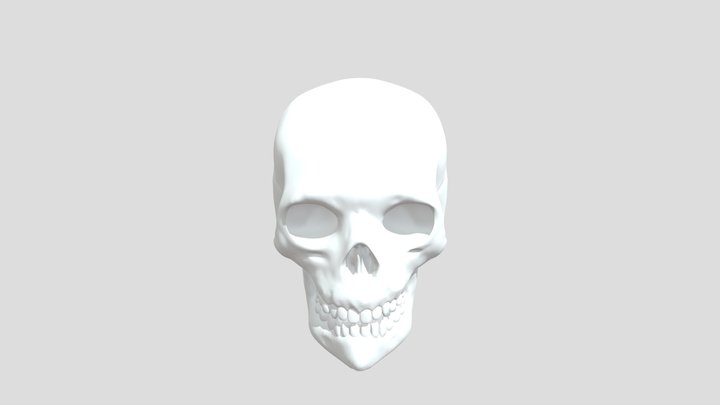 Skull 3D Model